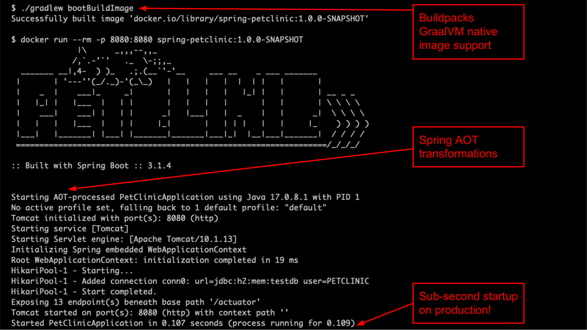 GraalVM native image build and execution